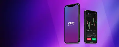 INGOT SC LTD