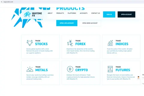 WAYONE CAPITAL