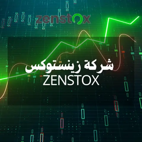 VIE FINANCE SEY LTD / Zenstox