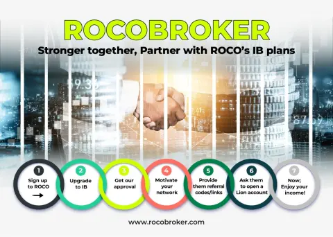 Roco Broker Ltd