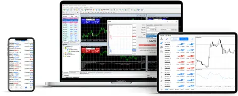 Tradeview LTD
