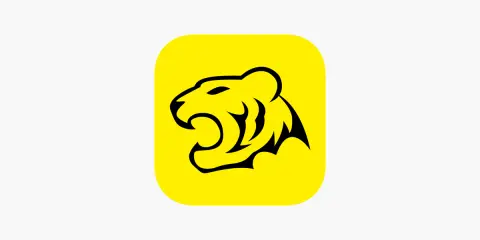 TigerWit Limited