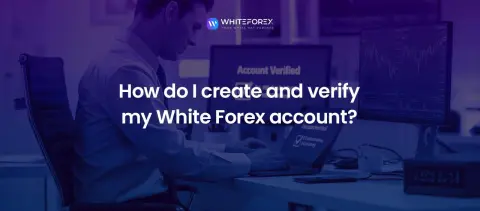 White Forex Limited