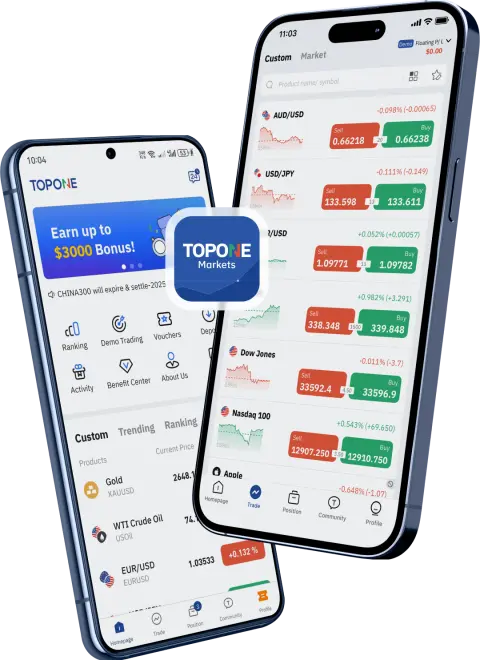TOP 1 MARKETS PTY LTD