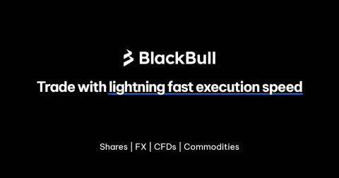 Black Bull Group Limited