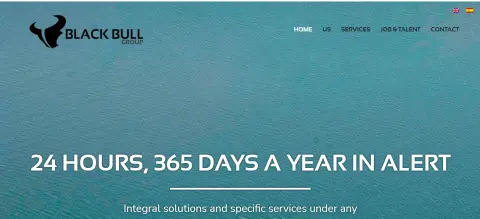 Black Bull Group Limited