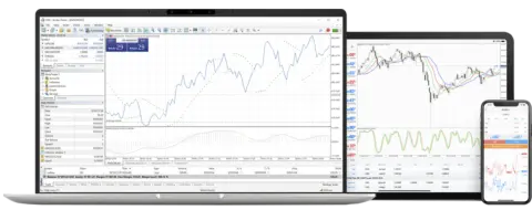 MONEYPLANT FX LTD