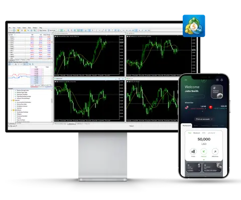 Volnex Capital Ltd