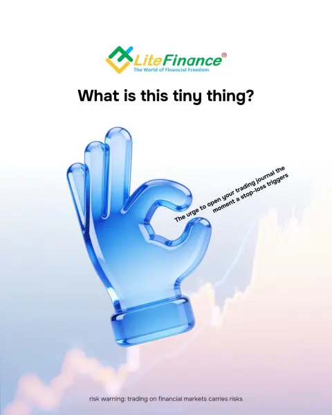 Lite Finance