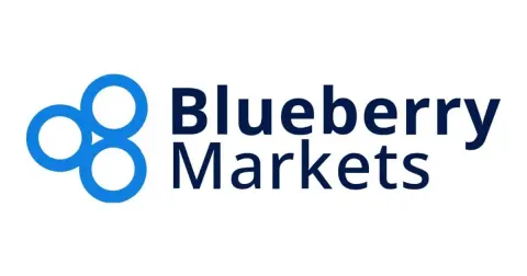 BLUEBERRY MARKETS PTY LTD