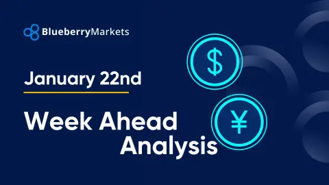 BLUEBERRY MARKETS PTY LTD