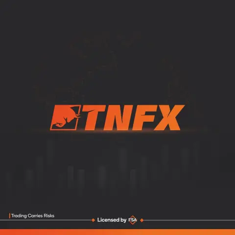 TNFX LTD