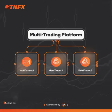 TNFX LTD