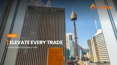 Amillex Global Ltd