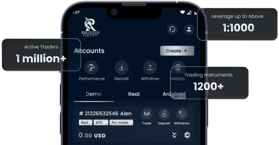 Regulus Capital Platform Feature 2