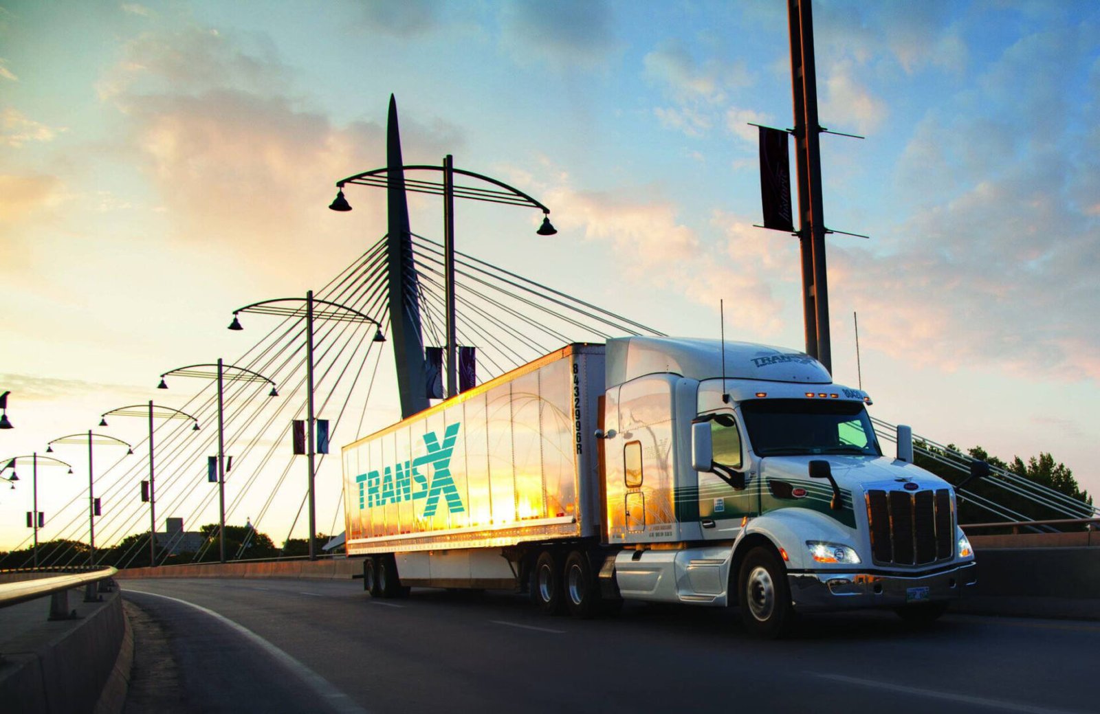 TransX Markets Limited